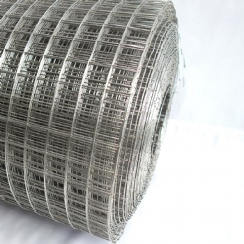 Stainless steel welded wire mesh coil