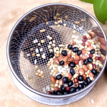 Stainless Steel Sieve