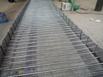 Eye Link Conveyor Belt