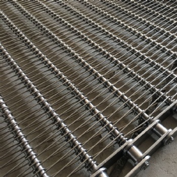 Eye Link Conveyor Belt